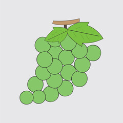 illustration of a grapes