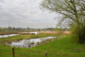 Gewässer im Naturschutzgebiet Die Reit