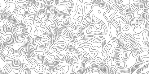 Seamless pattern with lines White wave paper curved reliefs abstract background,The black on white contours vector topography,Luxury topographic wavy pattern and geographic grid map design .