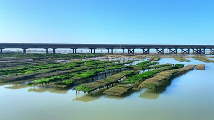 Oyster beds and bridge of Oleron on a sunny day in France