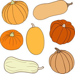 Set of colorful various pumpkins vector illustration
