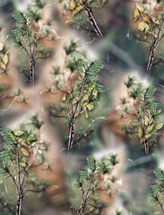 autumn leaves in the forest