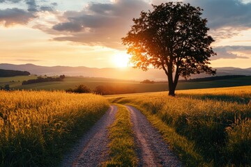 A solitary tree stands at the end of a long country road, basking in the golden light of sunset, surrounded by sprawling fields and distant hills, symbolizing peace and journey.