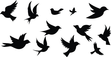 Collection of flying bird silhouettes. Collection of bird silhouettes. vector eps10
