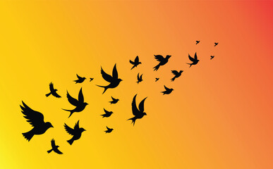Collection of flying bird silhouettes. Collection of bird silhouettes. vector eps10