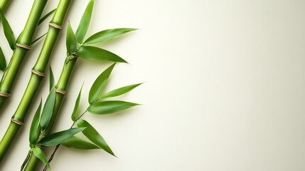 Naklejka premium Minimalist bamboo stalks arranged on a pearl white background, with clean lines and ample space for copy