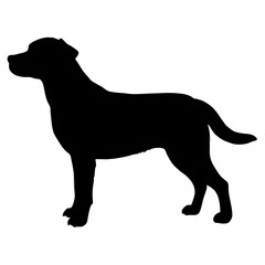 Dog Breeds Silhouette Svg Bundle, Dog Breed Svg, Dog Silhouette