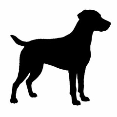 Dog Breeds Silhouette Svg Bundle, Dog Breed Svg, Dog Silhouette