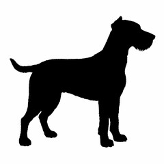 Dog Breeds Silhouette Svg Bundle, Dog Breed Svg, Dog Silhouette