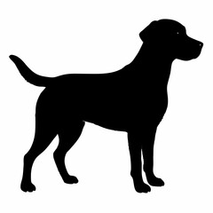 Dog Breeds Silhouette Svg Bundle, Dog Breed Svg, Dog Silhouette