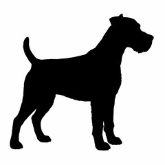 Dog Breeds Silhouette Svg Bundle, Dog Breed Svg, Dog Silhouette