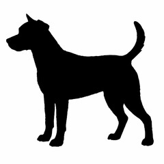 Dog Breeds Silhouette Svg Bundle, Dog Breed Svg, Dog Silhouette