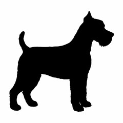 Dog Breeds Silhouette Svg Bundle, Dog Breed Svg, Dog Silhouette