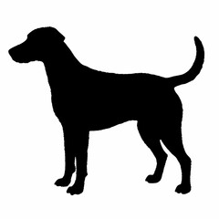 Dog Breeds Silhouette Svg Bundle, Dog Breed Svg, Dog Silhouette