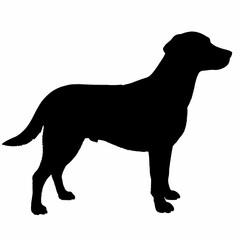 Dog Breeds Silhouette Svg Bundle, Dog Breed Svg, Dog Silhouette