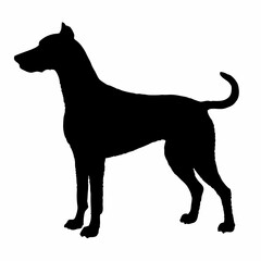 Dog Breeds Silhouette Svg Bundle, Dog Breed Svg, Dog Silhouette