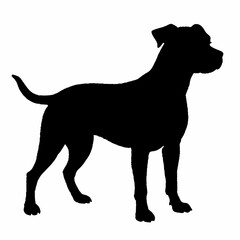 Dog Breeds Silhouette Svg Bundle, Dog Breed Svg, Dog Silhouette