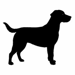 Dog Breeds Silhouette Svg Bundle, Dog Breed Svg, Dog Silhouette