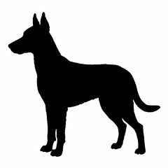 Dog Breeds Silhouette Svg Bundle, Dog Breed Svg, Dog Silhouette