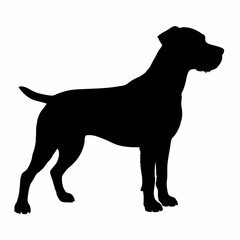 Dog Breeds Silhouette Svg Bundle, Dog Breed Svg, Dog Silhouette