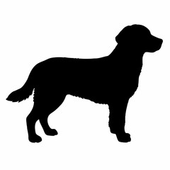 Dog Breeds Silhouette Svg Bundle, Dog Breed Svg, Dog Silhouette