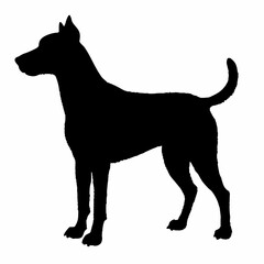 Dog Breeds Silhouette Svg Bundle, Dog Breed Svg, Dog Silhouette