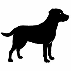 Dog Breeds Silhouette Svg Bundle, Dog Breed Svg, Dog Silhouette