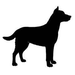 Dog Breeds Silhouette Svg Bundle, Dog Breed Svg, Dog Silhouette