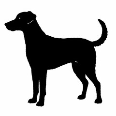 Dog Breeds Silhouette Svg Bundle, Dog Breed Svg, Dog Silhouette