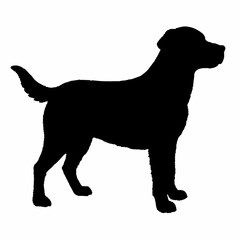 Dog Breeds Silhouette Svg Bundle, Dog Breed Svg, Dog Silhouette