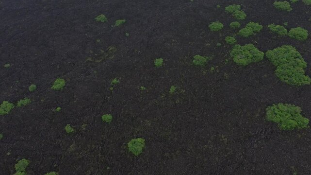 El Ceboruco Nayarit se encuentra al sur y es parte del eje neovolc&aacute;nico mexicano. Cuenta con una lava extra&ntilde;amente negra que cubre una carretera por ambos lados. es la erupci&oacute;n de un volc&aacute;n. 