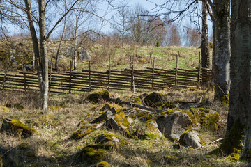 Pasture with an old fence of juniper posts © Björn Kristersson
