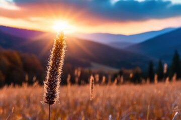 A stunning close-up of a plant in a field with the sun rising over a beautiful mountainous landscape, illuminating the entire scene with warm, golden light.