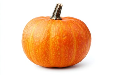 Single pumpkin on a white background