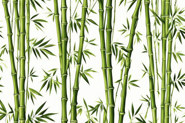 Fototapeta premium bamboo nature pattern background