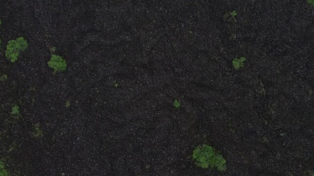 El Ceboruco Nayarit se encuentra al sur y es parte del eje neovolc&aacute;nico mexicano. Cuenta con una lava extra&ntilde;amente negra que cubre una carretera por ambos lados. es la erupci&oacute;n de un volc&aacute;n. 