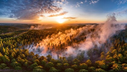 Breathtaking Sunrise Over Misty Forest Landscape