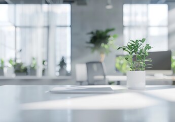 Modern Office Desk with Plant and Laptop