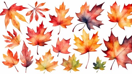 Obraz premium leaves background