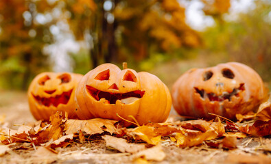 Three carved pumpkins with cheerful faces surrounded by autumn leaves in a vibrant forest setting...