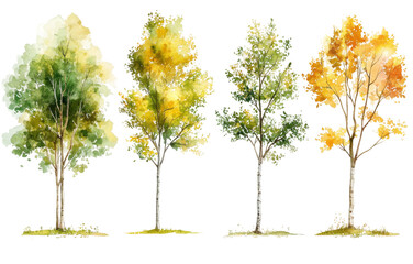 Obraz premium An artistic representation of four trees displaying their seasonal transformations, featuring lush greenery, bright summer leaves, warm autumn hues, and a winter scene