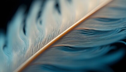 Fine Details of Bird Feather: Capturing Barbs, Barbules, and Color Gradients