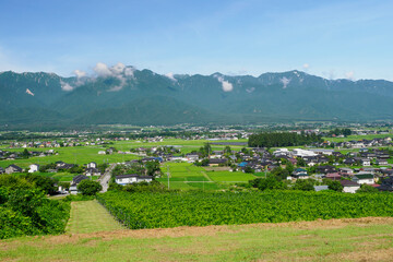 長野県池田町の高台から見る北アルプスの山並みと安曇野の田園風景