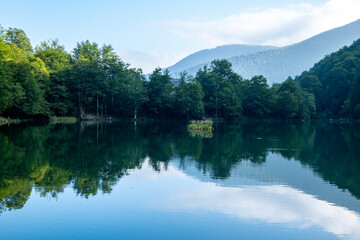Fototapeta premium Lac de Bethmale - Pyrénées - Ariège - Lush Green Forest Surrounding a Reflective Lake