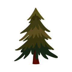 Spruce, evergreen tree Vector illustration in flat style element. Christmas and New Year. 
