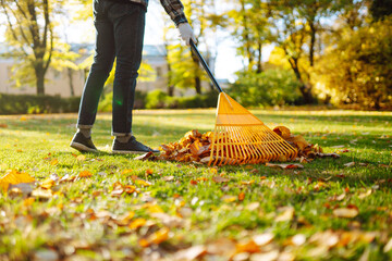 A person uses a yellow rake to gather fallen leaves in a park, surrounded by vibrant autumn...