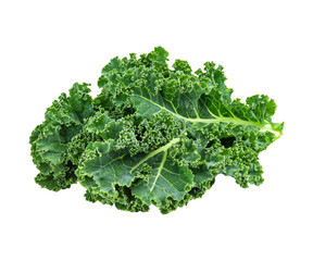 Kale isolated on transparent background, cut out