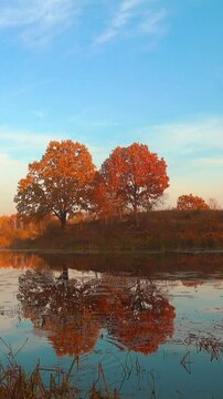 Sunset in a beautiful autumn forest. Trees reflected on a forest lake.