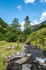 Circus of La Plagne, Pyrénées, Ariège - Rocky Slope with Dense Greenery