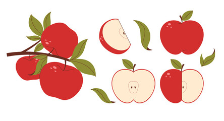 Collection of illustrations of fall fruit apples. Branches, leaves, and fruit.